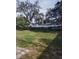 Large grassy backyard featuring a white fence, mature trees, and plenty of space for outdoor activities at 1922 Marvy Ave, Tampa, FL 33612