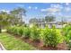 A well maintained front yard with manicured shrubs in front of a gray house under a blue sky at 2452 Bayshore Blvd, Dunedin, FL 34698