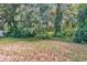 A large, overgrown backyard features mature trees and lush landscaping providing privacy at 2823 Holly Bluff Ct, Plant City, FL 33566
