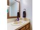 Bathroom with updated sink, vanity, and bronze framed mirror at 318 Windrush Blvd # 10, Indian Rocks Beach, FL 33785