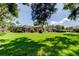 Expansive backyard with healthy green lawn, screened-in patio and mature trees at 3353 Wedgewood Way, Tarpon Springs, FL 34688