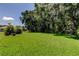Picturesque backyard features a generous lawn area, bordered by mature trees at 3353 Wedgewood Way, Tarpon Springs, FL 34688