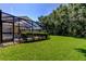 Green backyard lawn, featuring a screened-in patio off the home, with lush trees at 3353 Wedgewood Way, Tarpon Springs, FL 34688