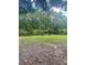 Picturesque backyard view overlooking a serene pond with a secure wrought iron fence at 4639 Cabbage Palm Dr, Valrico, FL 33596