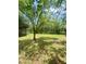 Expansive backyard with mature trees providing ample shade and a tranquil, serene setting at 4639 Cabbage Palm Dr, Valrico, FL 33596