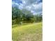 A serene pond view from the property's edge, surrounded by lush trees and vegetation at 4639 Cabbage Palm Dr, Valrico, FL 33596