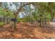 Outdoor fitness area featuring various exercise machines for residents in a tree-shaded area at 516 7Th Se St, Largo, FL 33771