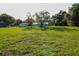 Wide angle shot of the lush backyard, highlighting its size and landscaping potential at 8807 Mary Ivy Dr, Plant City, FL 33567