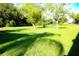 Sprawling backyard showcasing the home's lush green lawn and mature trees at 8807 Mary Ivy Dr, Plant City, FL 33567