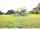 Wide angle of a large backyard with mature trees and outbuildings at 8807 Mary Ivy Dr, Plant City, FL 33567