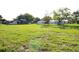 Expansive backyard showcasing well-maintained greenery and outdoor potential at 8807 Mary Ivy Dr, Plant City, FL 33567