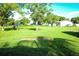 Lush backyard featuring a wide expanse of green grass and scattered mature trees at 8807 Mary Ivy Dr, Plant City, FL 33567