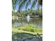 Scenic view of a pond with a fountain, surrounded by lush greenery and trees under a clear blue sky at 1050 Starkey Rd # 704, Largo, FL 33771