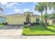 Charming yellow home featuring a well-manicured lawn and beautiful tropical landscaping with mature palm trees at 13194 Royal Pines Ave, Riverview, FL 33579