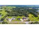 Stunning aerial view of homes showcasing manicured lawns, modern design, and desirable neighborhood setting at 14080 Sydney Rd, Dover, FL 33527