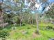 Lush backyard featuring mature trees and scenic views at 16006 Armistead Ln, Odessa, FL 33556