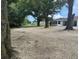 Large backyard featuring mature trees, offering plenty of space and natural beauty at 17048 State Road 54, Lutz, FL 33558