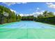 Private tennis court with basketball hoop surrounded by lush landscaping at 18521 Wayne Rd, Odessa, FL 33556