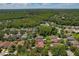 Aerial view of the property nestled in a community surrounded by lush greenery and a nearby pond for a serene setting at 19206 Ivy Oak Way, Tampa, FL 33647