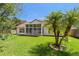 The backyard features a lush lawn, palm trees, and a sunroom, perfect for relaxation and outdoor entertainment at 19206 Ivy Oak Way, Tampa, FL 33647