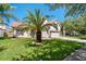 Well-maintained two-story home with lush lawn and large palm tree at 19206 Ivy Oak Way, Tampa, FL 33647