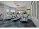 Modern gym featuring treadmills and natural light, perfect for an invigorating workout session at 19206 Ivy Oak Way, Tampa, FL 33647