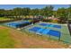 Aerial view of well-maintained pickleball courts, ready for friendly matches and community fun at 19206 Ivy Oak Way, Tampa, FL 33647