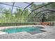 A gorgeous screened pool with stone pavers surrounded by lush greenery at 3603 Arbor Chase Dr, Palm Harbor, FL 34683