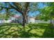 Expansive backyard featuring lush green grass and mature trees, perfect for outdoor activities at 3811 N Arlington Ave, Tampa, FL 33603