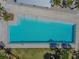 Aerial view of a community pool featuring stairs, clear blue water, and palm tree landscaping at 3833 Villamore Ln, Odessa, FL 33556
