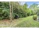 Green backyard showcasing mature trees and lush landscaping, creating a private outdoor oasis at 3918 Silverlake Way, Wesley Chapel, FL 33544