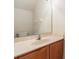 Bathroom features a single sink, neutral wall color, and a large mirror at 3918 Silverlake Way, Wesley Chapel, FL 33544
