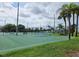 Community basketball court with well-maintained green surface, basketball hoops, and multiple courts at 4985 Cobia Se Dr # A, St Petersburg, FL 33705