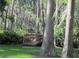Secluded community featuring a wooden walking bridge surrounded by beautiful lush trees and natural landscapes at 5139 Corvette Dr, Tampa, FL 33624