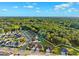 Aerial view showcases the property's proximity to lush green spaces and tree coverage at 6035 Nikki Ln, Odessa, FL 33556