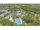 Aerial view of the community pool and recreational area nestled in a lush, green setting at 6041 Sandhill Ridge Dr, Lithia, FL 33547