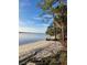 Beautiful sandy beachfront property with lush trees and views of calm waters at 630 Timber Bay W Cir, Oldsmar, FL 34677