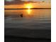 Sunset view of a calm body of water; a dog wading through the water at 630 Timber Bay W Cir, Oldsmar, FL 34677