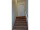 Carpeted stairway with a white railing leading to the upper level at 637 Kensington Lake Cir, Brandon, FL 33511