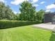 A well-maintained backyard with a lush green lawn and manicured hedges at 6905 Arabian Rd, Odessa, FL 33556
