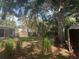 Backyard features a large tree, storage shed, and overgrown vegetation, providing a rustic, natural outdoor space at 729 41St St, Sarasota, FL 34234