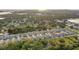 Community aerial view showcasing the neighborhood layout with lush greenery and proximity to water at 8840 Mugnai St, Riverview, FL 33578