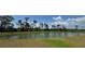 Scenic view of the pond and surrounding landscape at 8922 Little Bluestem Dr, Land O Lakes, FL 34637