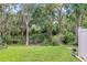 Expansive backyard with lush greenery and mature trees creating a serene outdoor space at 9206 River Rock Ln, Riverview, FL 33578