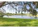 Picturesque view of the serene pond surrounded by lush greenery and beautiful trees at 12529 Knollbrook Ln, Hudson, FL 34669