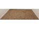Close up on the plush neutral carpeting at 14909 Oldgate Pl, Tampa, FL 33624