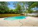 Backyard with a sparkling pool surrounded by lush landscaping and a concrete deck at 14909 Oldgate Pl, Tampa, FL 33624