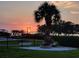 Backyard with a fire pit, mature palm trees, and glimpses of the ocean at sunset at 1626 Sea Breeze Dr, Tarpon Springs, FL 34689