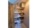 Functional pantry with shelving offering organized storage solutions at 1626 Sea Breeze Dr, Tarpon Springs, FL 34689