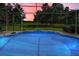 Sparkling blue in-ground pool with screened enclosure offering views of the backyard and landscaping at 18168 Clearview Dr, Brooksville, FL 34604